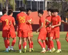 多米APP下载-华西列夫斯基回忆录在线阅读