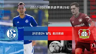 多米APP下载-沙尔克vs柏林赫塔直播